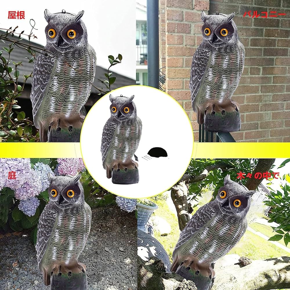 73331セール現品限　外国切手　ポーランド発行猛禽類6種揃フクロウ 大阪・なんばの猛禽類カフェ「raptorland Shovel」が 出張